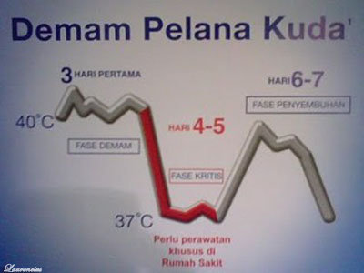 Demam-Berdarah-Dengue-(DBD) Gejala-Demam-Berdarah-Dengue-(DBD)