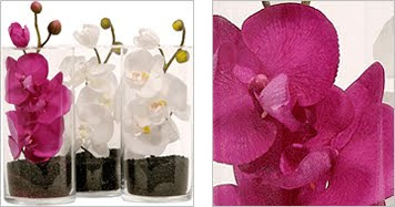 Orchid Bud Vases