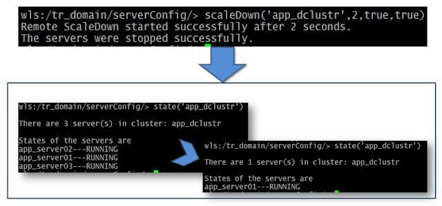 scale down in WebLogic 12.2.1 Domain