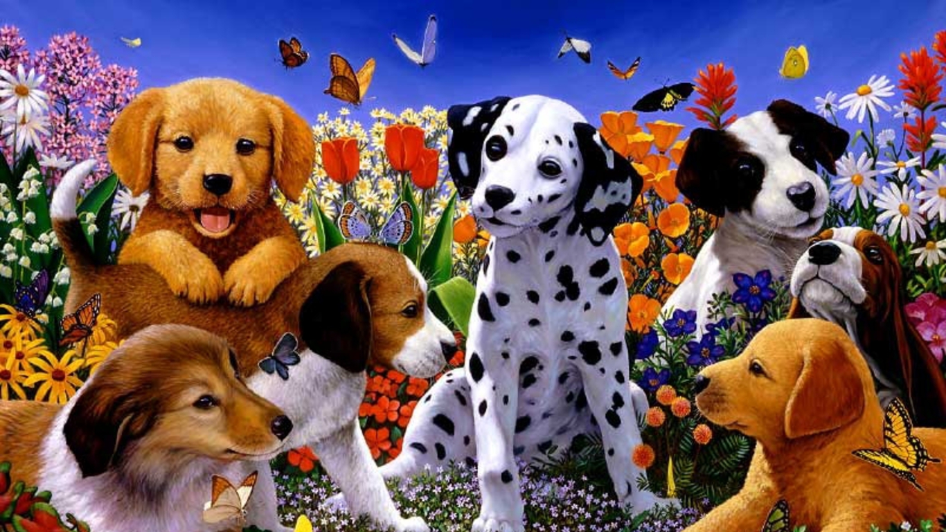 Very beautiful  wallpaper  puppy  dogs  Pets Cute  and Docile