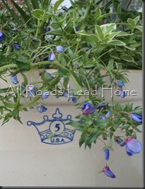 Planting Flowers 031