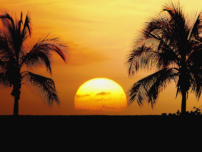 hawaii beaches at sunset. sunset beach background. hawaii beaches at sunset.