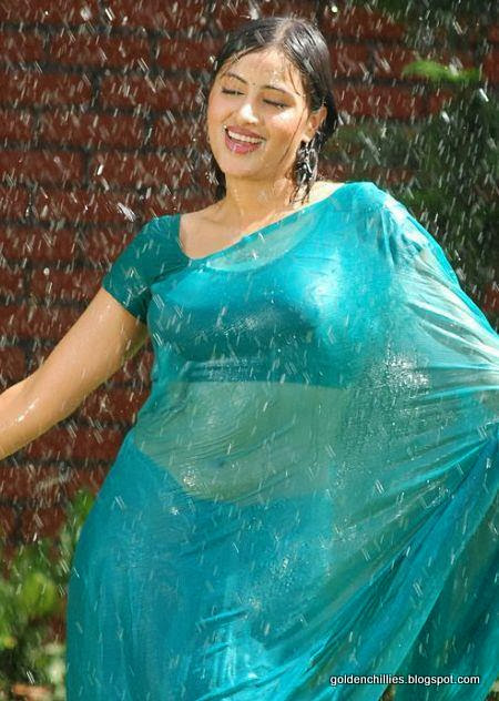 actress wet saree back images 