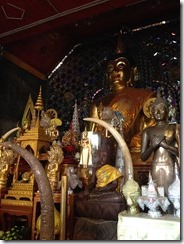 IMG_5785