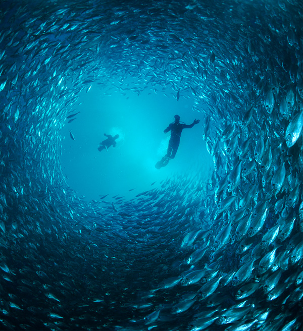  Foto  Pemandangan  Bawah  Laut  Terindah Di Dunia 2014