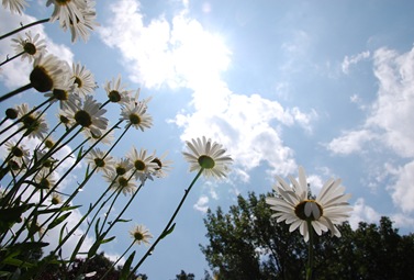 DSC_0095 DSC_0095