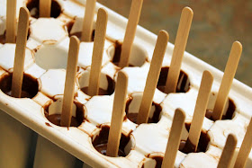 Hot Chocolate on a Stick - Turtles and Tails blog