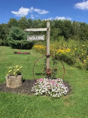 Mais de 20 ideias simples para jardins pequenos e cantinhos sem uso