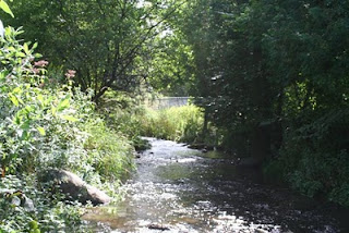 Grounds of St Francis Retreat Centre