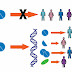 පුද්ගලානුබද්ධ වෙදකම (Personalized Medicine)