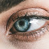 Facts about Eyes