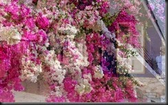 image001