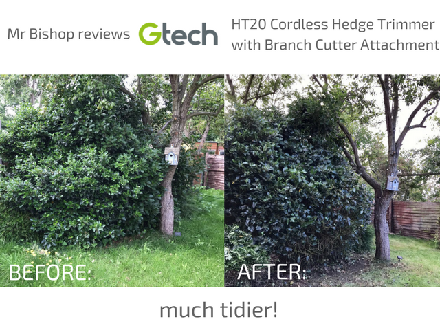 Before/After using GTech HT20 Cordless Hedge Trimmer