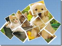 animalitos