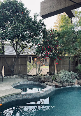 An view of a neighbor's yard with part of a fence down