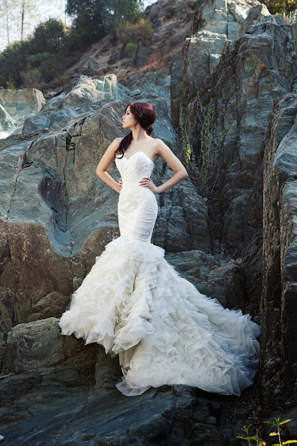 2014 wedding dress