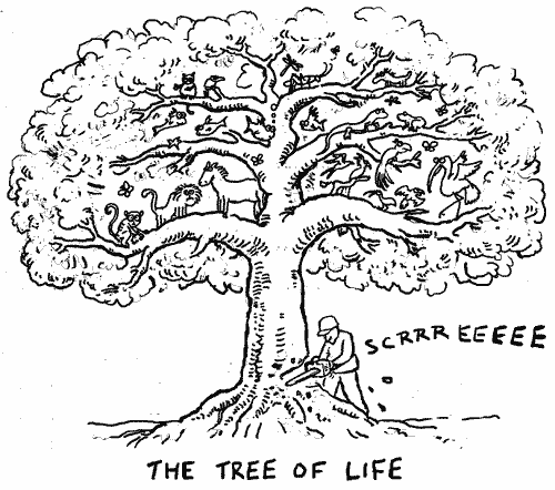 tree of life. Tree Of Life: Satirical