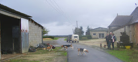 Release the hounds! Indre et Loire, France. Photographed by Susan Walter. Tour the   Loire Valley with a classic car and a private guide.