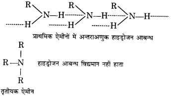 Solutions Class 12 रसायन विज्ञान-II Chapter-5 (ऐमीन)