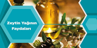 Zeytin Yağının Faydaları