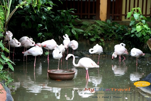 Langkawi Wildlife Park