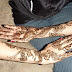 Simple Mehndi Design 2011