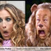 SJP Look Alikes