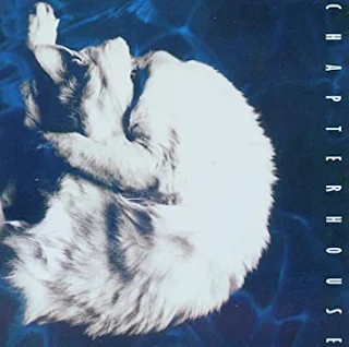 ALBUM: portada de "Whirpool" de la banda CHAPTERHOUSE