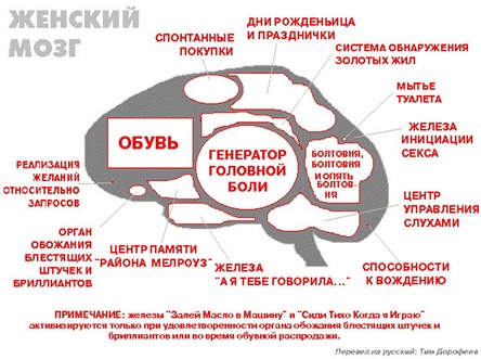 woman_brain