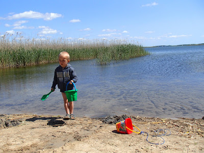 Mazury, Cicha Zatoka, Mikołajki, Popielno, żeglowanie, łabędź, kaczka, plaża