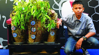 Naufal Raziq Elektrik Pokok Kedondong