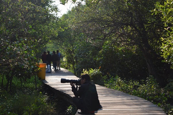 Peta Lokasi Hutan Mangrove Wonorejo Surabaya