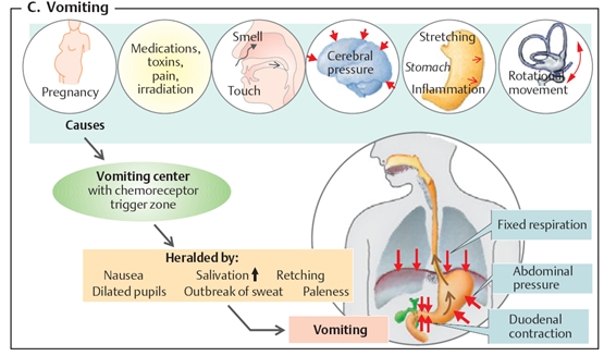 Get neW kNowLedGe: Vomiting ( Muntah )