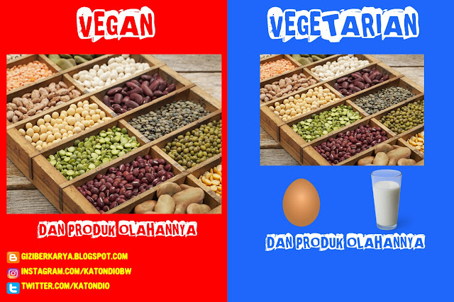 VEGAN VS VEGETARIAN 2