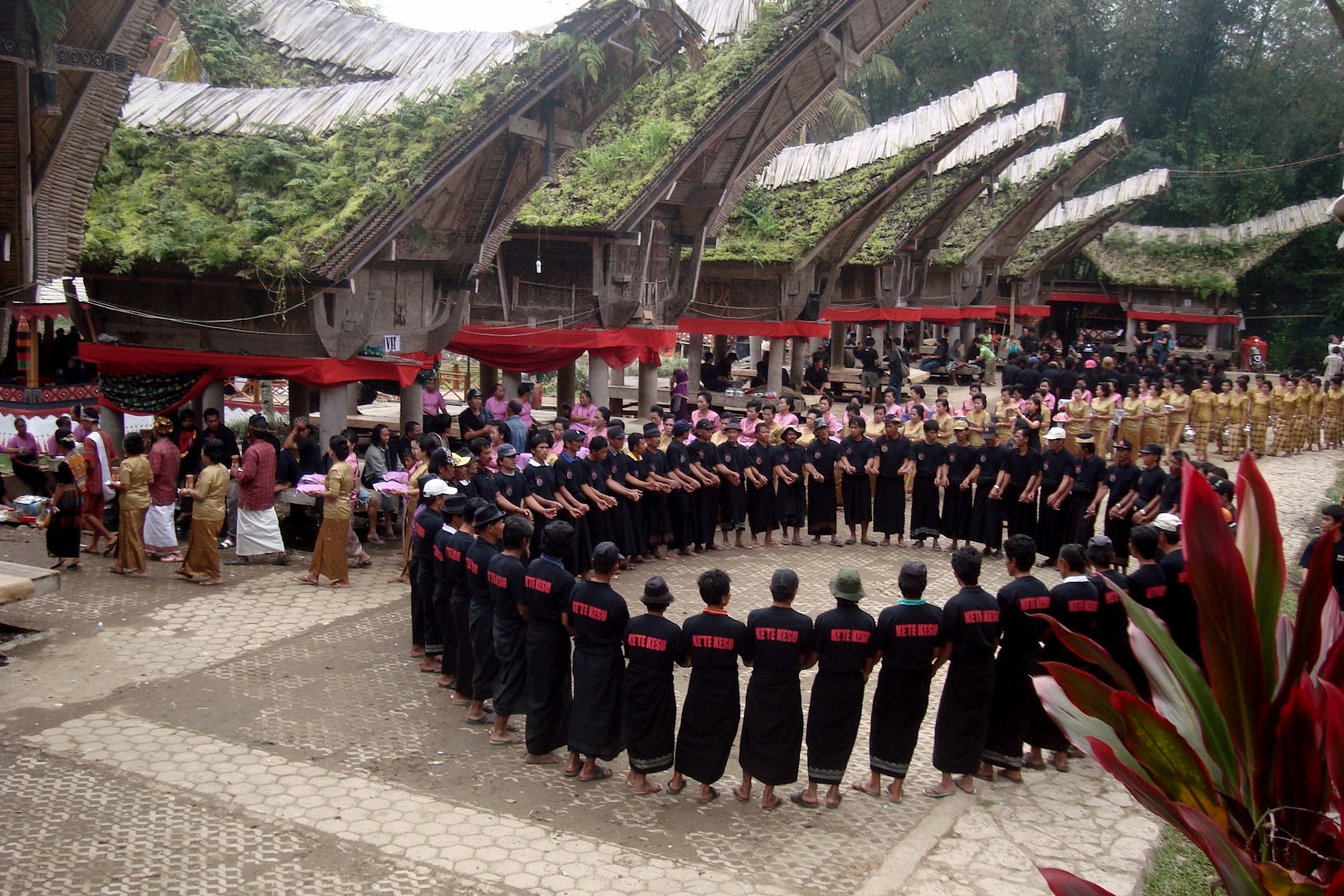 Upacara Pemakaman Khas Tana Toraja - Upacara Rambu Solo 