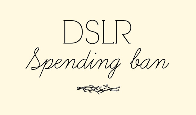 spending ban logo