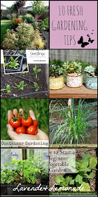 10 FRESH Springtime Garden Tips