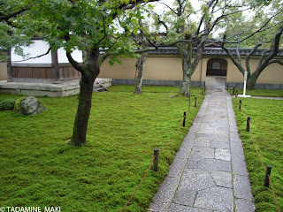 A path in the carpet of mosses, Kobai-in, Daitokuji Temple, in Kyoto, Japan