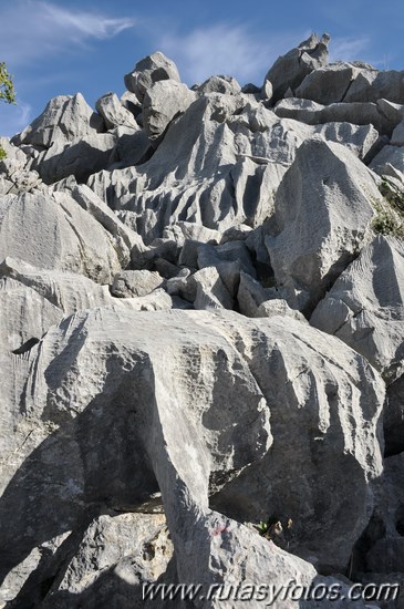 Subida a los Cerros Patagalana y Lajares