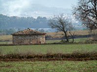 La sínia de Les Oliveres