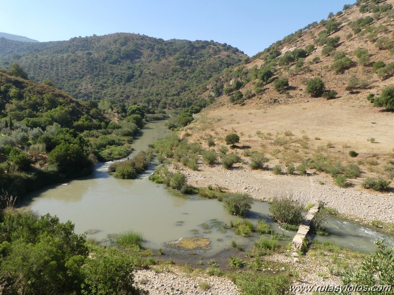 Via Verde de la Sierra: Puerto Serrano - Olvera