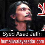 https://www.humaliwalayazadar.com/2019/10/syed-asad-jaffri-nohay-2020.html