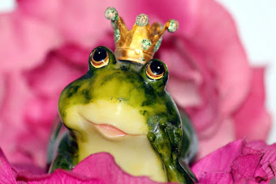 image: https://pixabay.com/photos/frog-prince-crown-flower-dreamy-1370022/