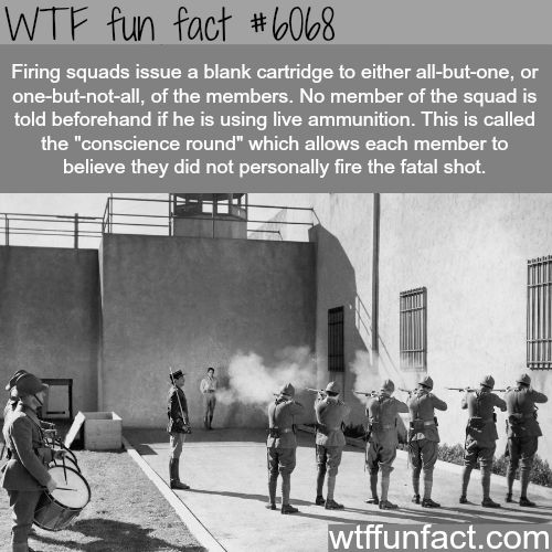 Interesting Random Facts