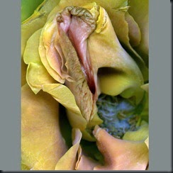 unnamed (25)