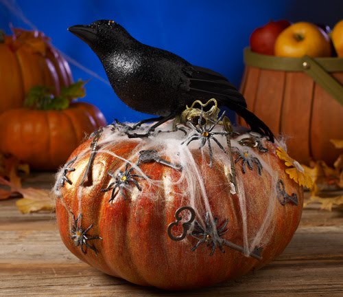 black crow pumpkin