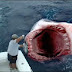 Megalodon!O Monstro dos Mares!!!!OLHA SÓ ISSO!