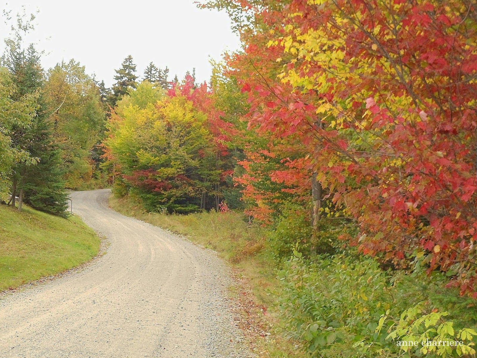 annecharriere.com, couleurs d'automne, 