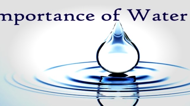 Important Uses Of Water | Learn With Unique