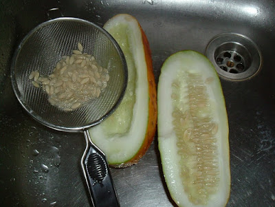 Semillas de pepino